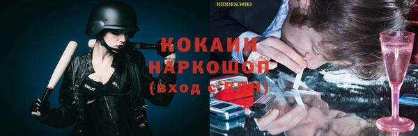 Альфа ПВП Ладушкин