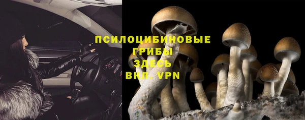 Альфа ПВП Ладушкин