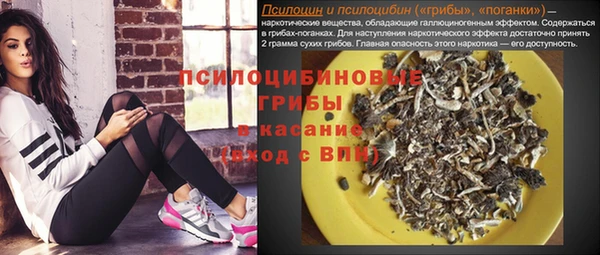 тгк Лагань