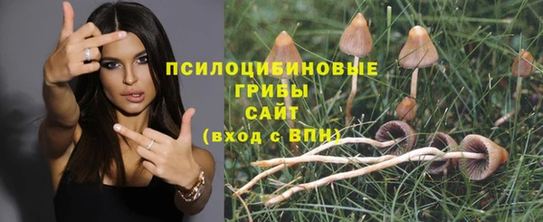 Альфа ПВП Ладушкин