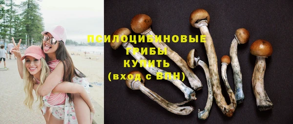 первитин Лиски