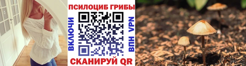Псилоцибиновые грибы Psilocybine cubensis купить наркотики цена Долинск